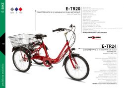 E-Bike a tre ruote 20