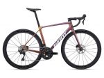 GIANT Mod. TCR Advanced Pro 2